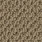 Anderson Tuftex Gracious Carpet in Vintage Brown, , large