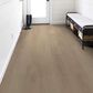 Shaw Vinyl Tile Ascent Natural Bevel Escape 9" x 72" Vinyl Plank, , large