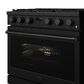 Thor Kitchen 6 Cu. Ft. Contemporary Professional Freestanding Gas Range in Black, , large