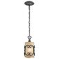Golden Lighting Madera 1-Light Mini Pendant in Black, , large