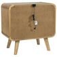 Pacific Landing Robyn 2 Drawer Nightstand in Light Ash, , large