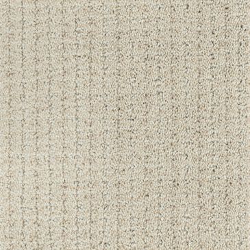 Dixie Home Sensible Carpet in Sunlit, , large
