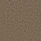 Dream Weaver Toast of The Town Carpet in Sandalwood, , large