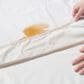 Sanders Collection Encasement Queen Mattress Protector in White, , large