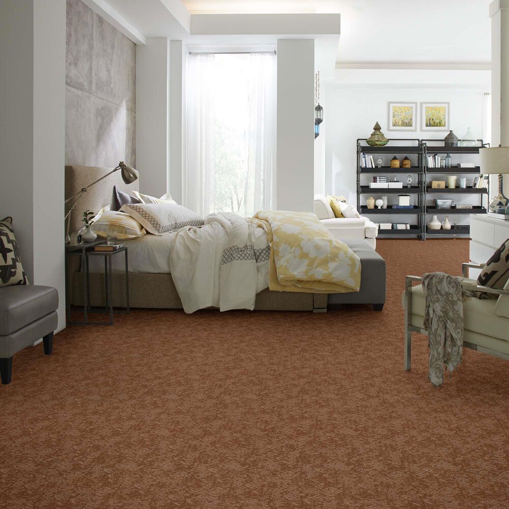Anderson Tuftex Caress Free Spirit Carpet in Sunbaked, , large