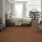 Anderson Tuftex Caress Free Spirit Carpet in Sunbaked, , large