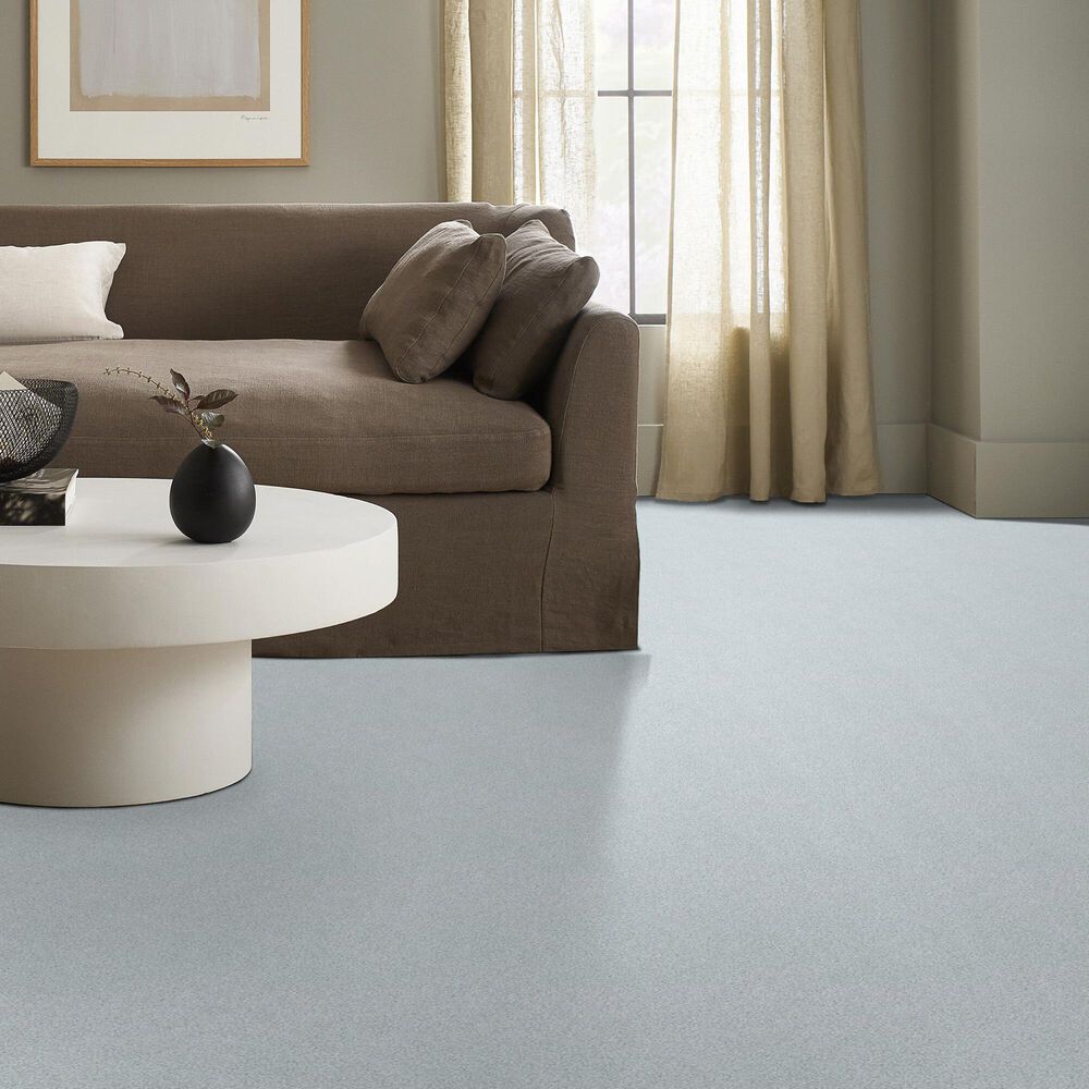 Shaw Tonal Comfort Ii Carpet in Bay Waves, , large