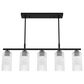 Hunter Beverly Glen Jasmine Roth 5-Light Island Chandelier in Matte Black, , large