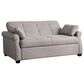 Lifestyle Solutions Hampton Queen Convertible Sofa in Steel, , large