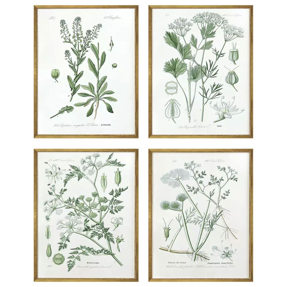 Paragon 25" x 19" Assemblage Wall Art Set in Green (Set of 4), , large