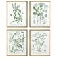 Paragon 25" x 19" Assemblage Wall Art Set in Green (Set of 4), , large