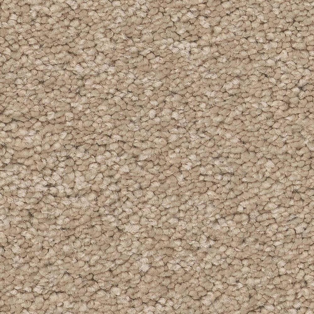Anderson Tuftex Elegant Beauty Carpet in Transparent, , large
