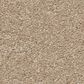 Anderson Tuftex Elegant Beauty Carpet in Transparent, , large