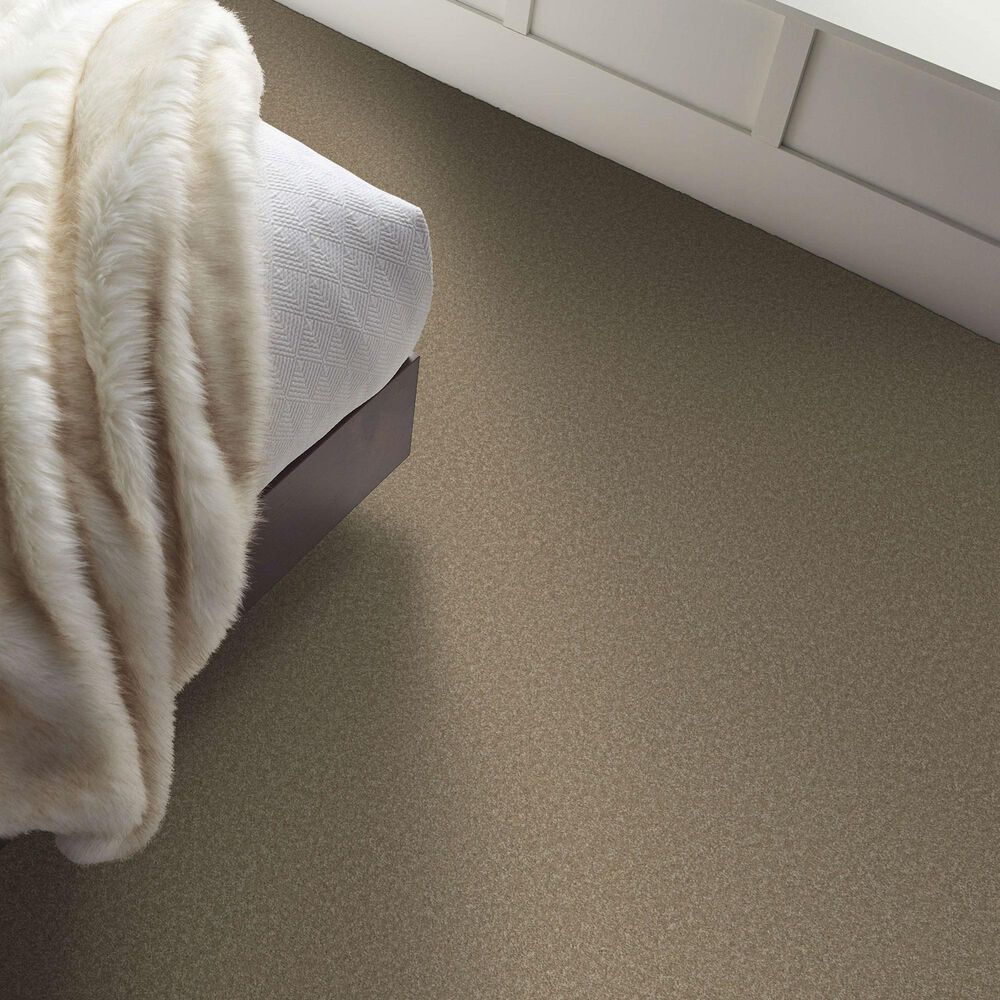 Shaw Way To Go I Carpet in Hidden Treasure, , large