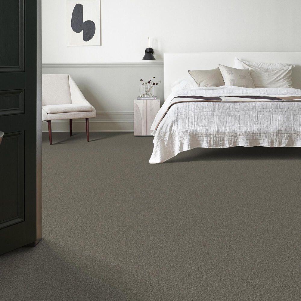 Shaw You Got This II Carpet in Rerooted Nature, , large