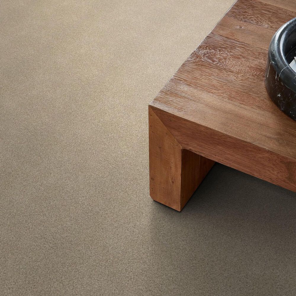 Shaw Tonal Comfort I Carpet in Walk On The Beach, , large