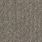 Shaw Simply Classic Carpet in Ashes, , large