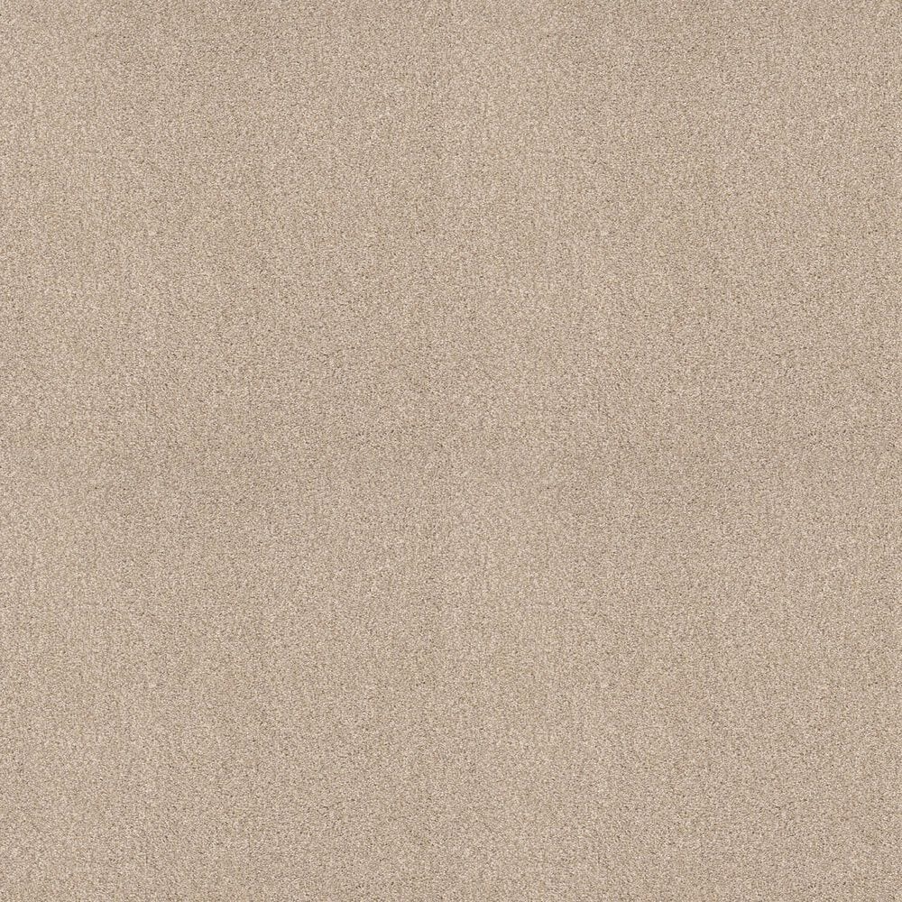 Shaw Comforting I Carpet in Mesa, , large