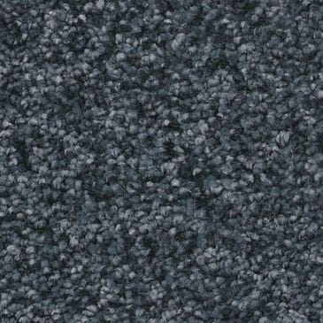 Shaw You Got This III Carpet in Refined, , large