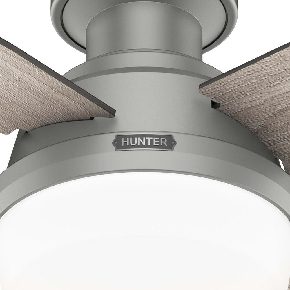 Hunter Dempsey Low Profile 44&quot; Ceiling Fan with Lights in Matte Silver, , large