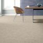 Anderson Tuftex Caress by Shaw Artistic Presence Carpet in Delicate Cream, , large