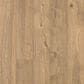Mohawk Elderwood Sandbank Oak Laminate, , large