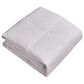 Blue Ridge Home Fashions Naples 700 Thread Count Full/Queen Down Comforter in White, , large