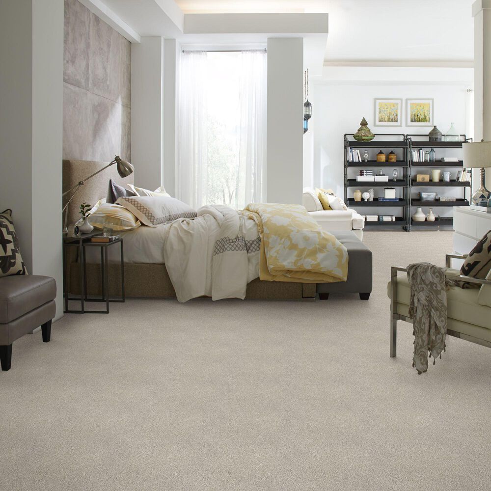 Shaw Find Your Comfort TT II Carpet in Shoreline Haze, , large