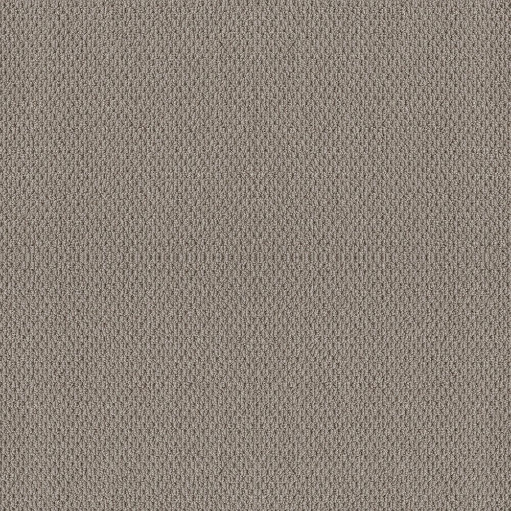Shaw Naturalistic Carpet in River Run, , large