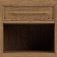 Shannon Hills Hallbrooke 1-Drawer Nightstand in Nutmeg Oak with USB Ports, , large