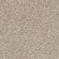 Phenix Canvas II Carpet in Muslin, , large