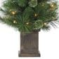 The Gerson Company 4" Potted Hard Needle Christmas Tree with White LED Lights in Green (Set of 2), , large