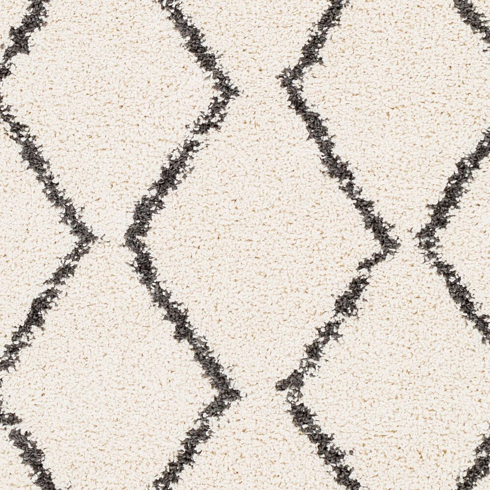 Surya Berber Shag BBE2303 6&#39;7&quot; x 9&#39; Charcoal and Beige Area Rug, , large