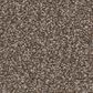 Anderson Tuftex Cypress Falls Carpet in Warm Stone, , large