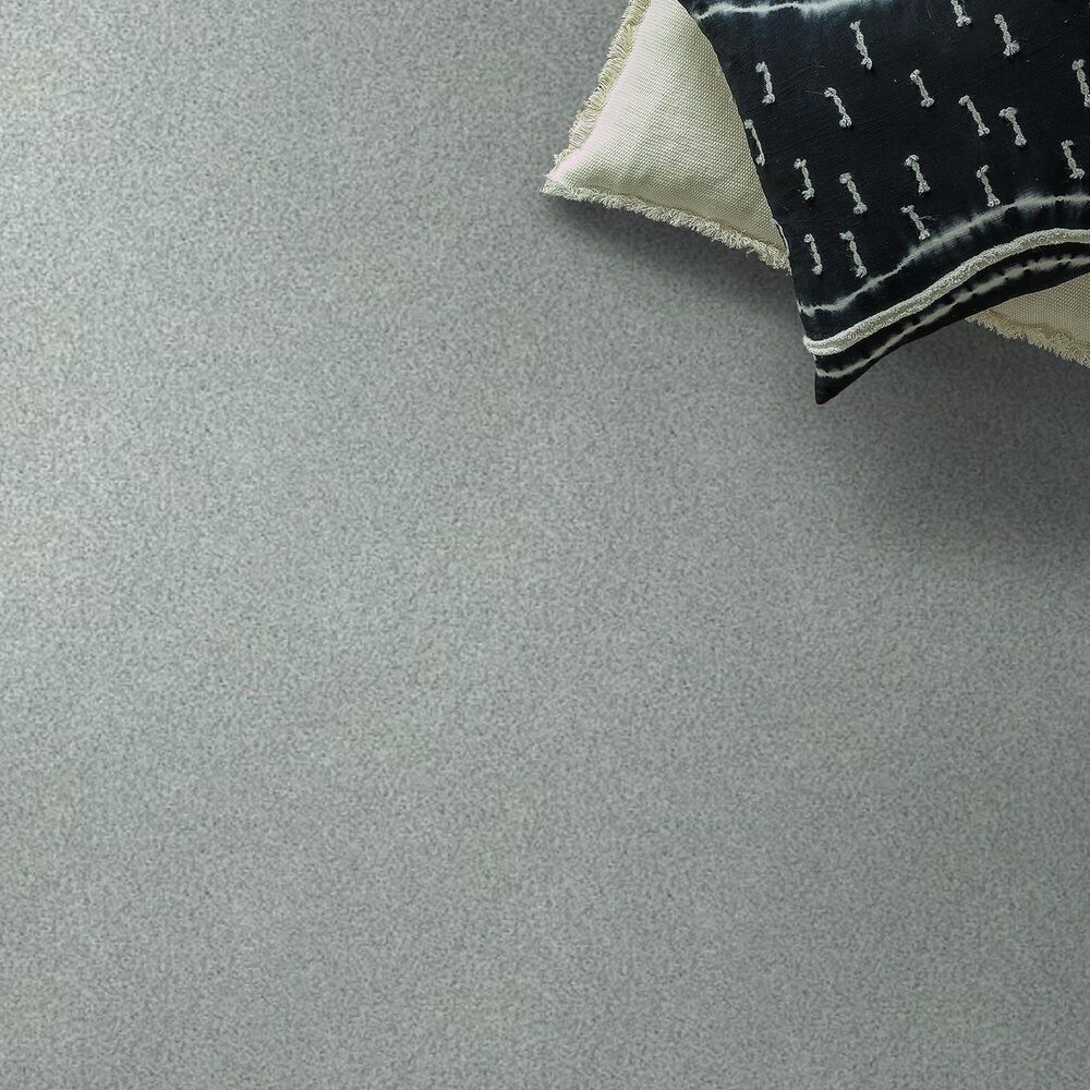 Shaw Tonal Comfort Ii Carpet in Refreshed, , large