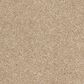 Shaw Barracan Classic I Carpet in Maplewood North, , large