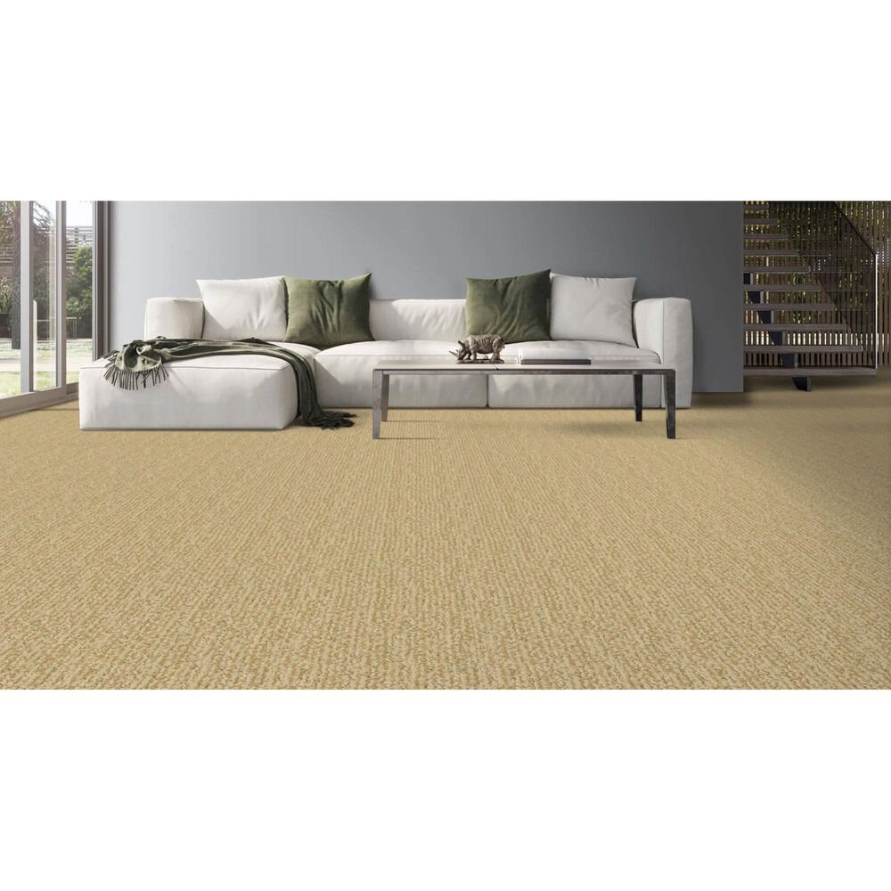 Masland Mesa Verde Carpet in Somerset, , large