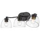Golden Lighting Roxie 3-Light Bath Vanity in Matte Black, , large
