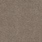 Mohawk Refined Saga II Carpet in Whisper, , large