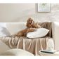 Sunday Citizen Cloud Silque 20" Square Throw Pillow in Pearl Gray, , large
