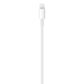 Apple 1-Meter USB-C to Lightning Cable in White, , large
