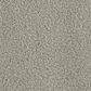 Phenix In The Details Carpet in Concrete, , large