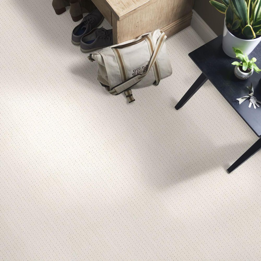 Anderson Tuftex San Lucas Carpet in White Blush, , large