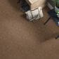 Anderson Tuftex Luna Carpet in Desert Beach, , large
