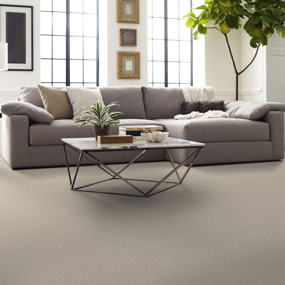 Shaw Comforting II Carpet in Adobe, , large