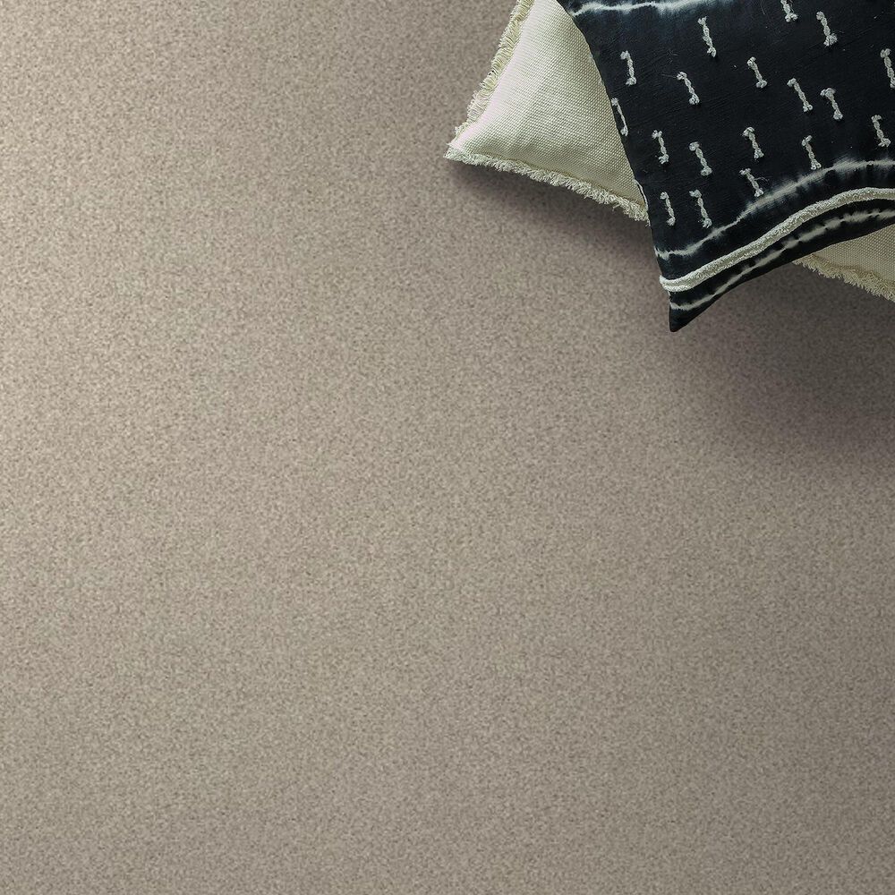 Shaw Tonal Comfort Ii Carpet in My Haven, , large