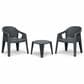 Zentro Living Premo Bistro Chair in Charcoal, , large