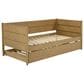 Coaster Calinda Twin Daybed with Trundle in Warm Natural Brown, , large