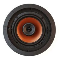 Built-in Speakers