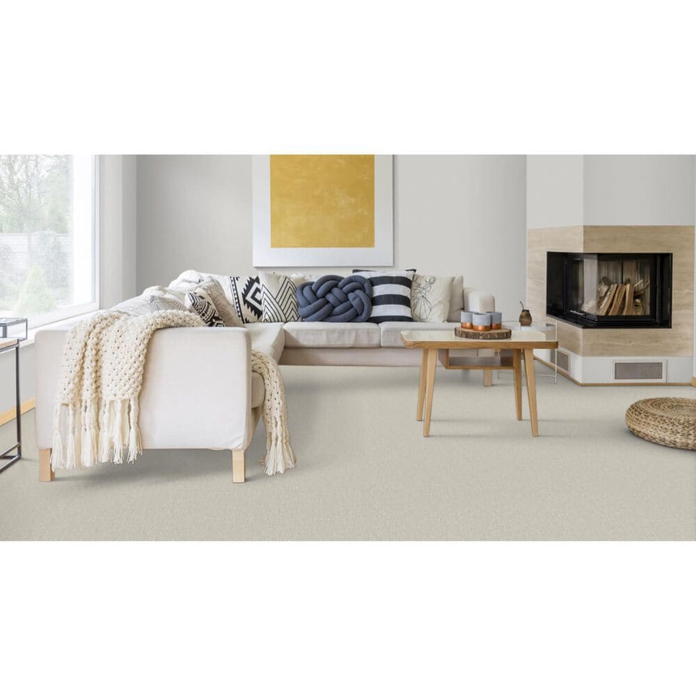 Dixie Home Crystal Oasis Carpet in Vapor, , large